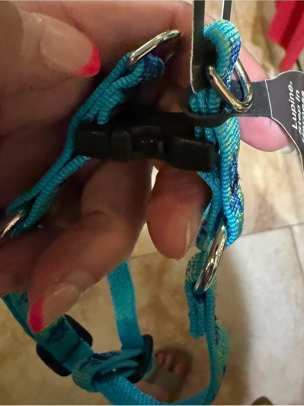 Lupine dog harness
